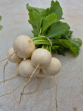 Hakurei Turnip