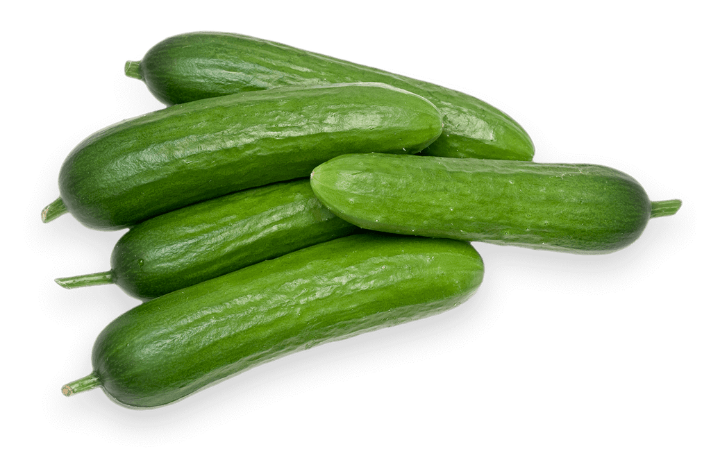 Cucumber