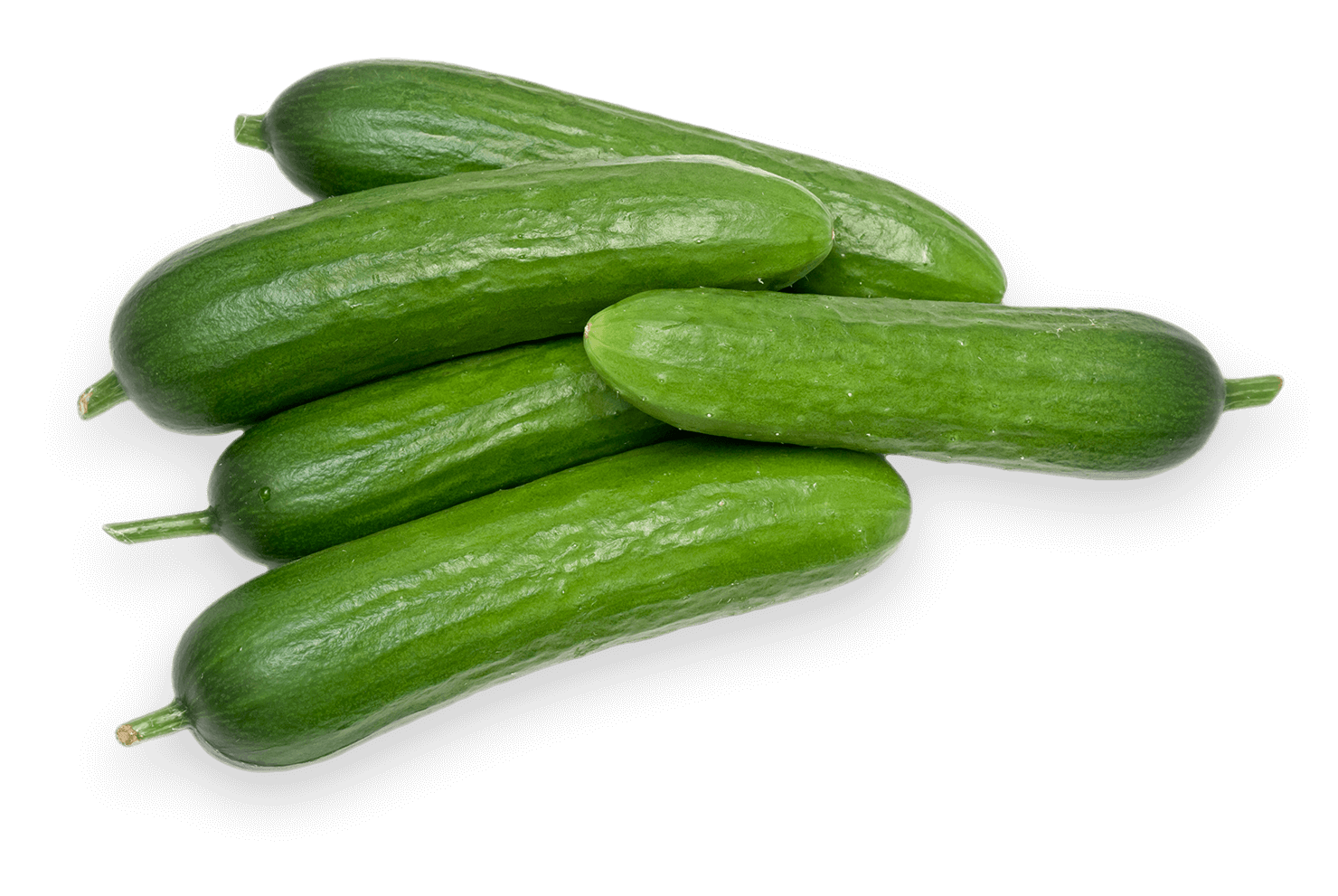Cucumber - Mini English