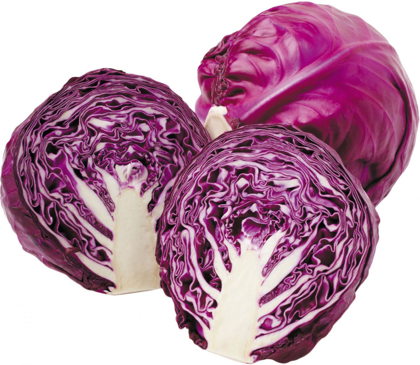 Cabbage