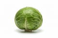 Cabbage