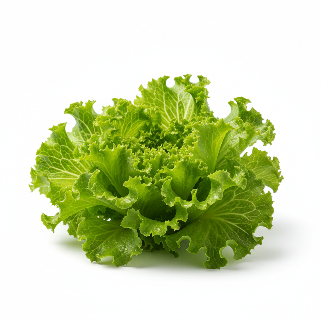 Lettuce